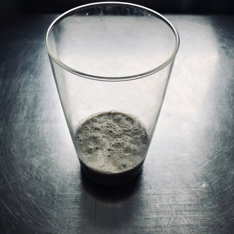 levain_seigle_001