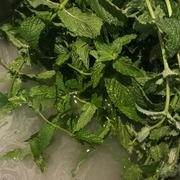 sekanjebin_sirop